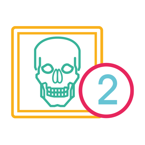 Craneo 2 Proy. (Ap y Lat.)