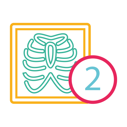 Torax Oseo 2 Proyec. ( Ap y Lat )