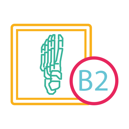 Pie Bilateral 2 Proy. (Ap y Lat.)