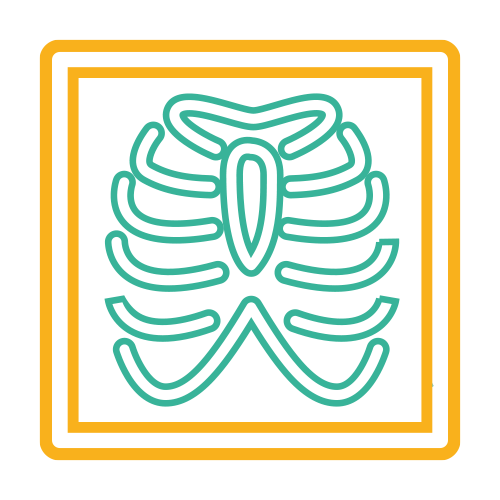 Telerradiografía de Torax