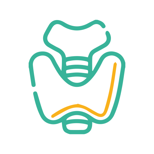 Ac. Anti - Receptor de TSH (Ac.TR)