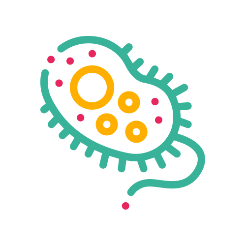 Baciloscopia BAAR (2 Muestras)