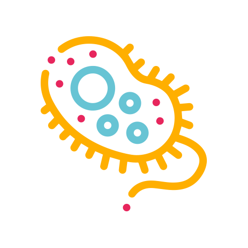 Baciloscopia BAAR (3 Muestras)