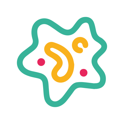 Virus de la Influenza A y B por PCR
